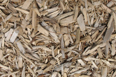 biomass boilers Colychurch